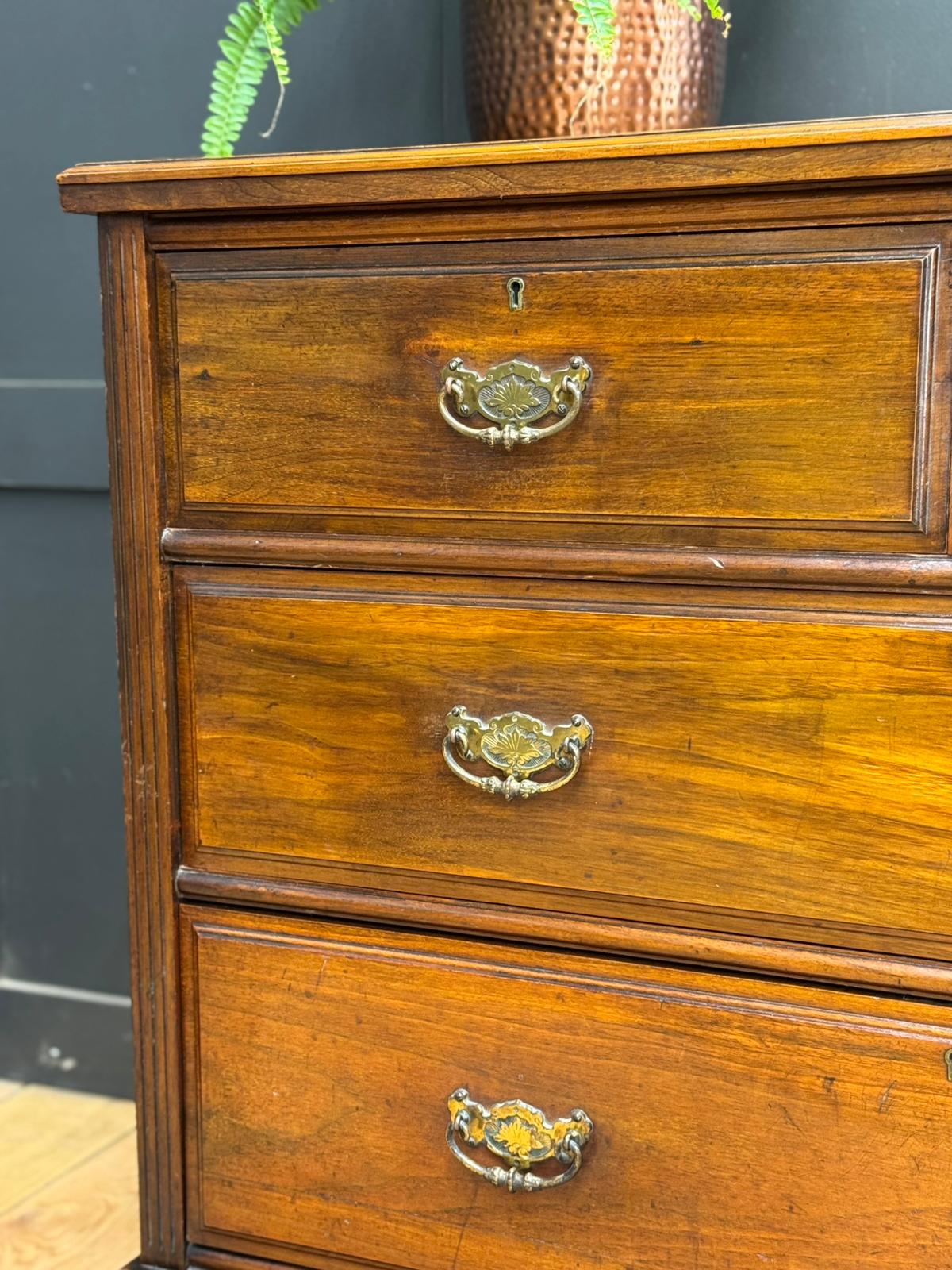 Antique Mahogany Chest of Drawers / Victorian Chest / Bedroom Storage