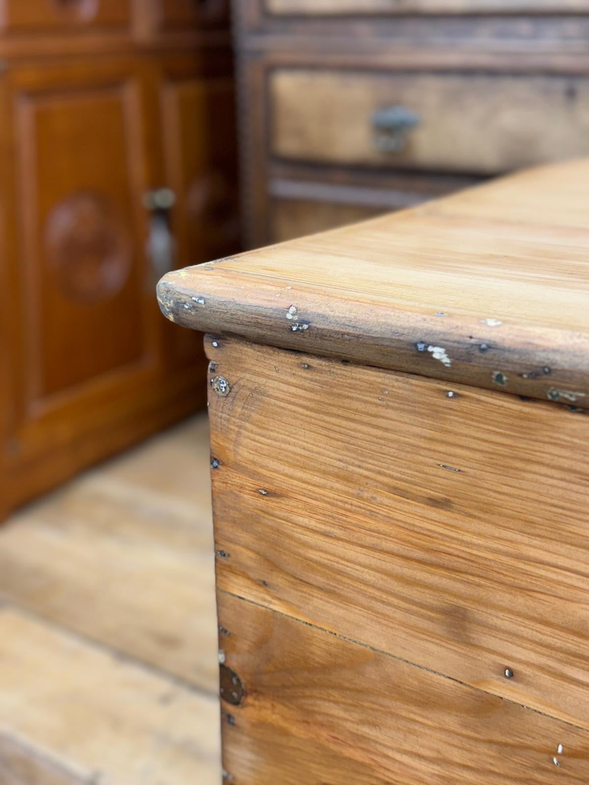 Antique Pine Chest on Wheels – 19thC Storage Trunk Blanket Box Coffee Table