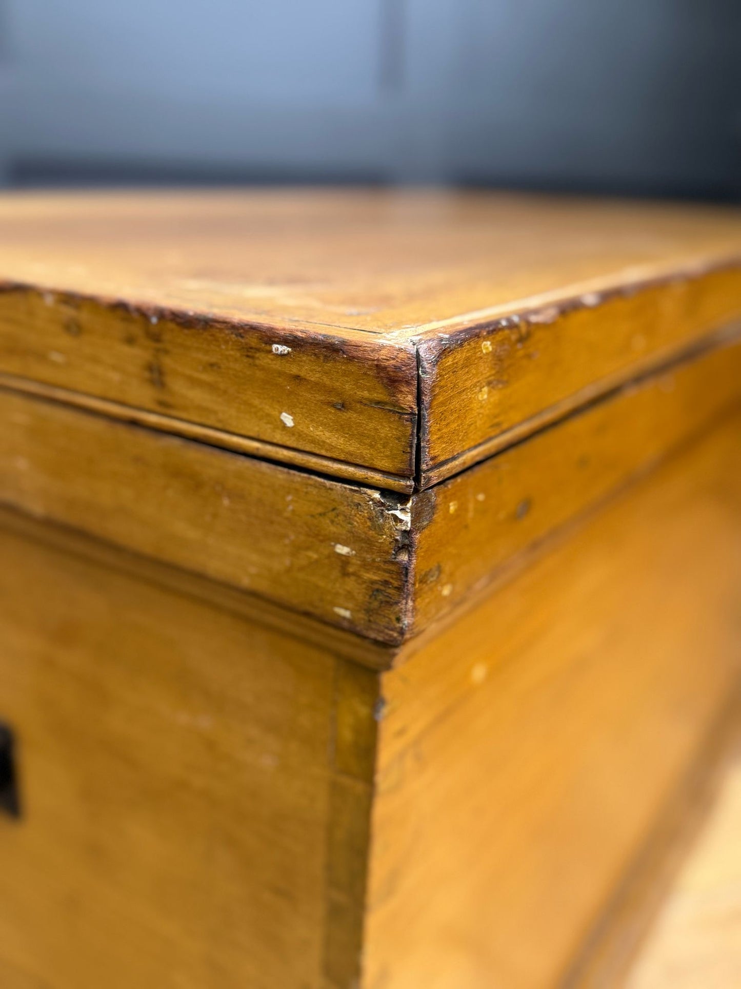 Antique Cedar Trunk Chest / Storage Blanket Tool Shoe Box / Coffee Table