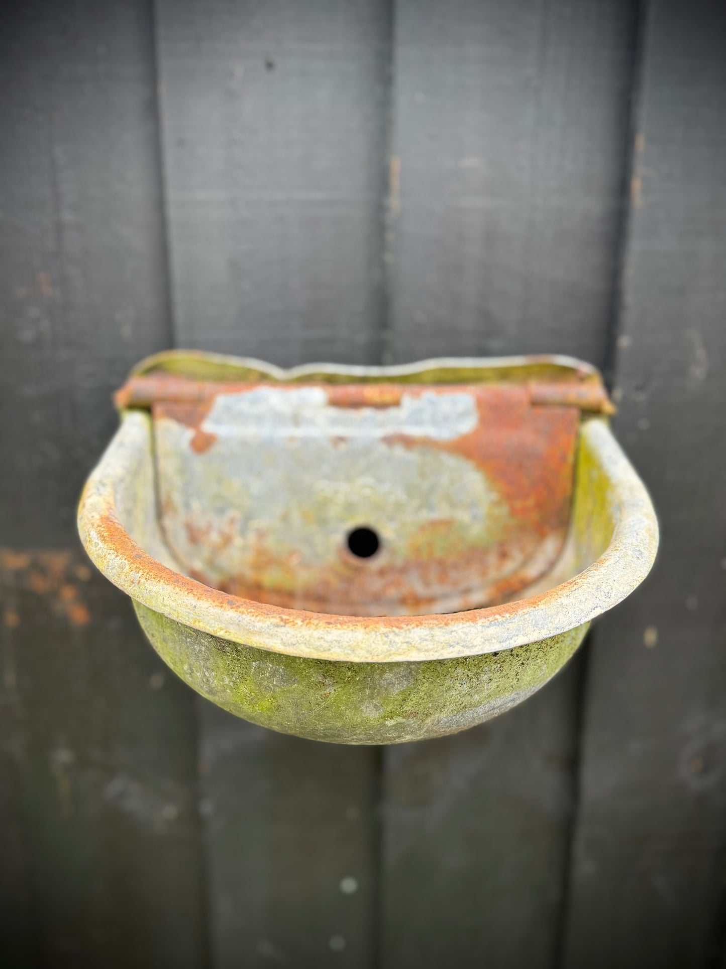 Wall Planters / Cattle Feeder / Hanging Basket / Herb Planter / Plant Pot
