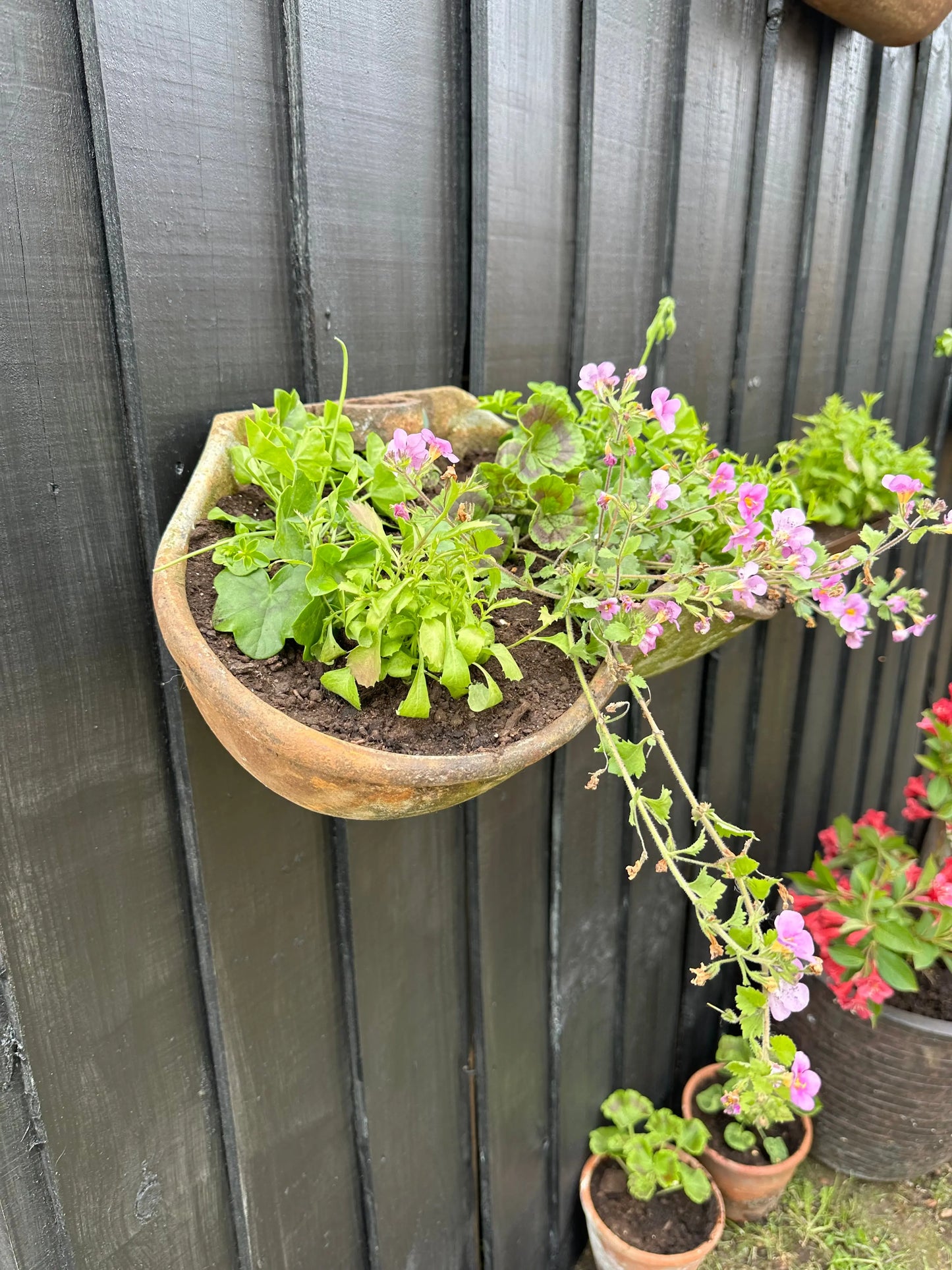 Wall Planters / Cattle Feeder / Hanging Basket / Herb Planter / Plant Pot RUSTIC WAREHOUSE NORFOLK