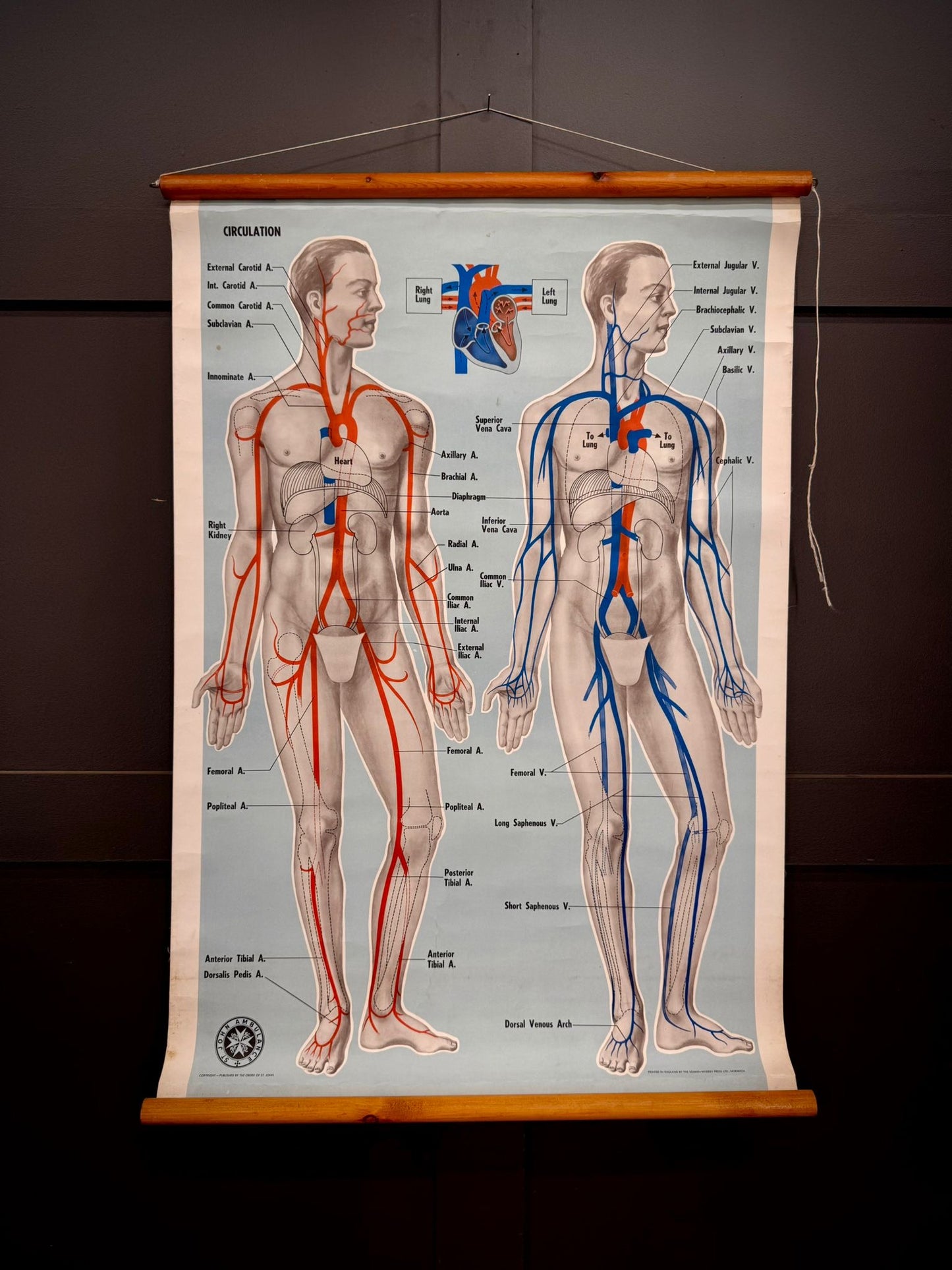 Vintage St John Ambulance Circulation Chart Soman-Wherry Norwich c.1950s