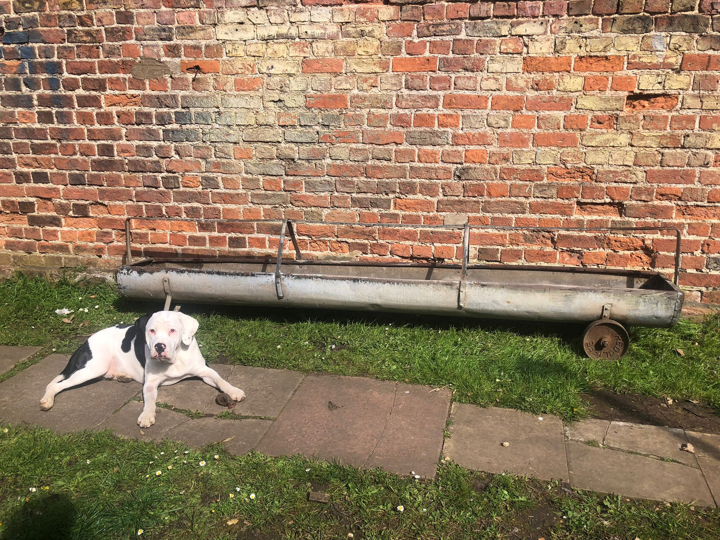 Vintage Large Galvanised Trough Planter Rustic Herb Garden Decoration Ornament