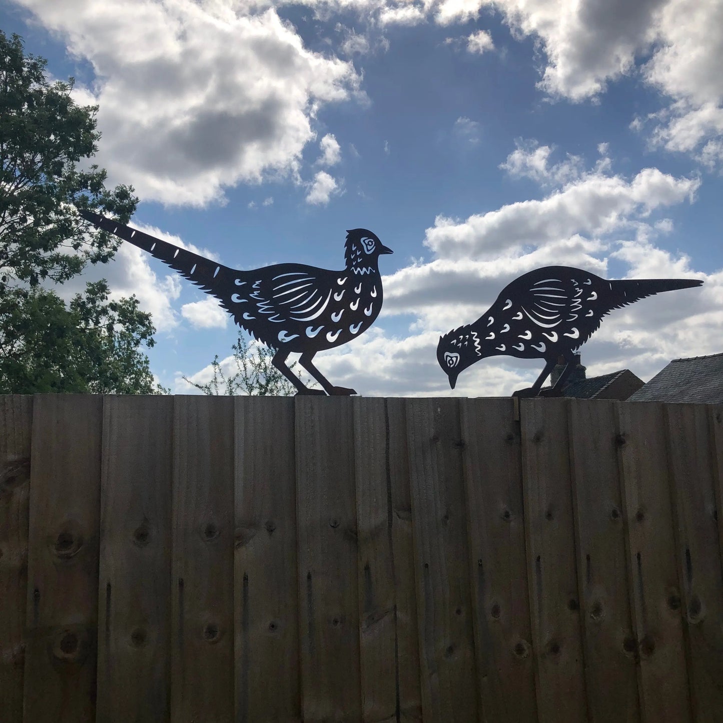 2 Rusty Metal Pheasants Garden Pheasants RUSTIC WAREHOUSE NORFOLK