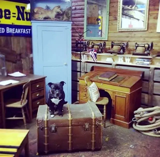 Unique Decorative Pieces - RUSTIC WAREHOUSE NORFOLK