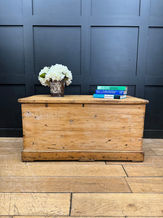 Antique Old Pine Trunk Chest / Storage Blanket Box / Coffee Table