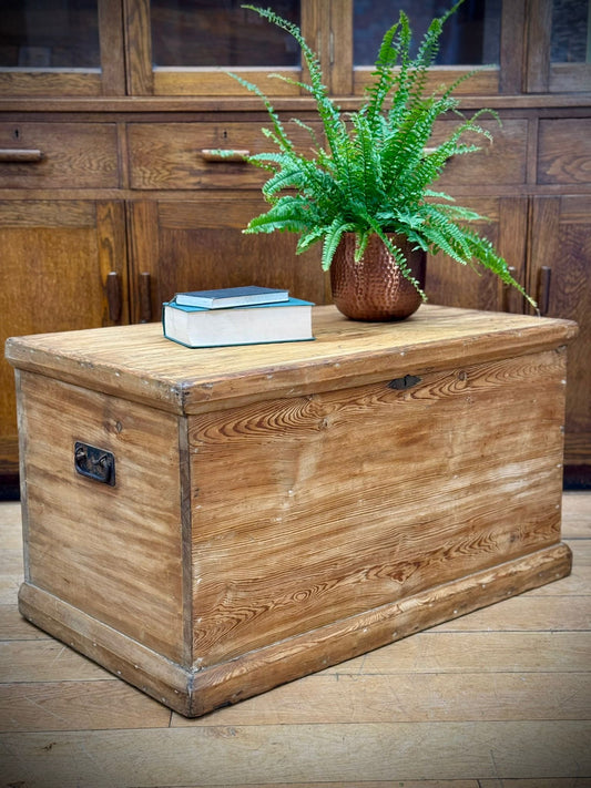 Antique Old Pine Trunk Chest / Storage Blanket Box / Coffee Table