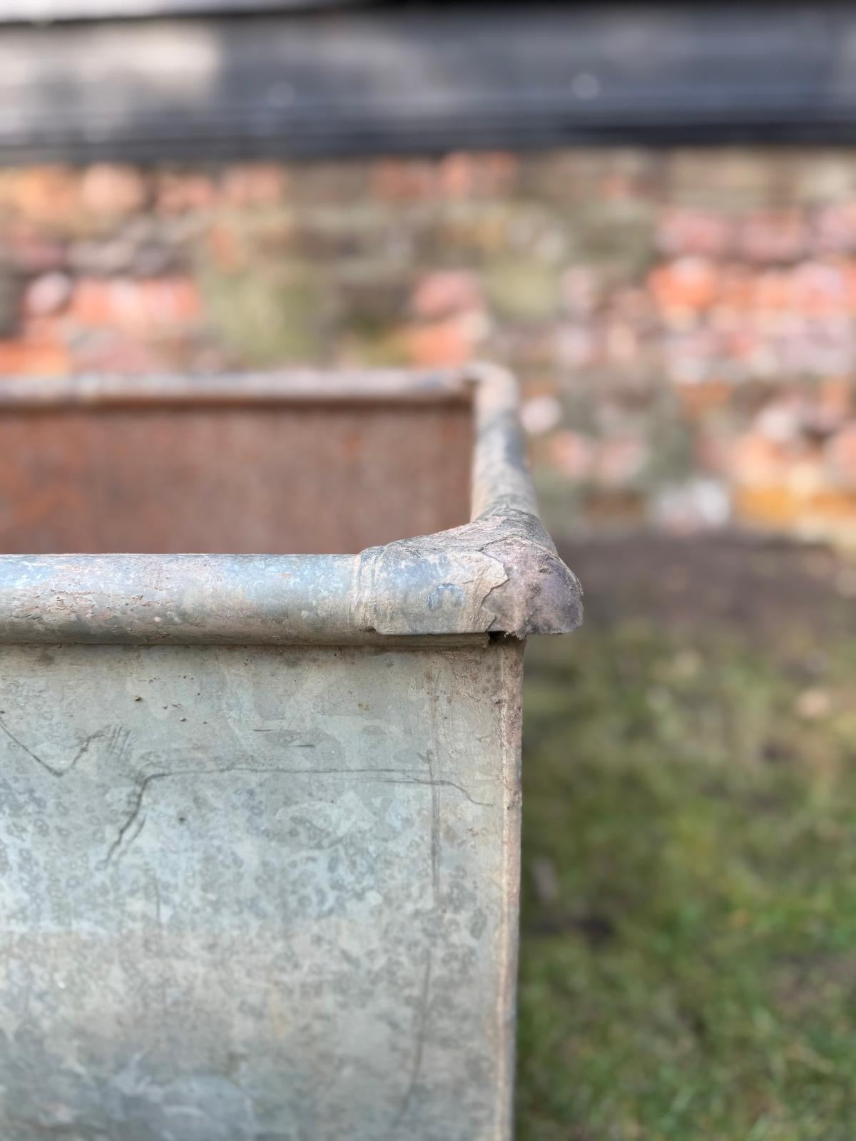 Reclaimed Galvanised Trough Planter /  Raised Bed Plant Tree Shrub Herb Pot DD