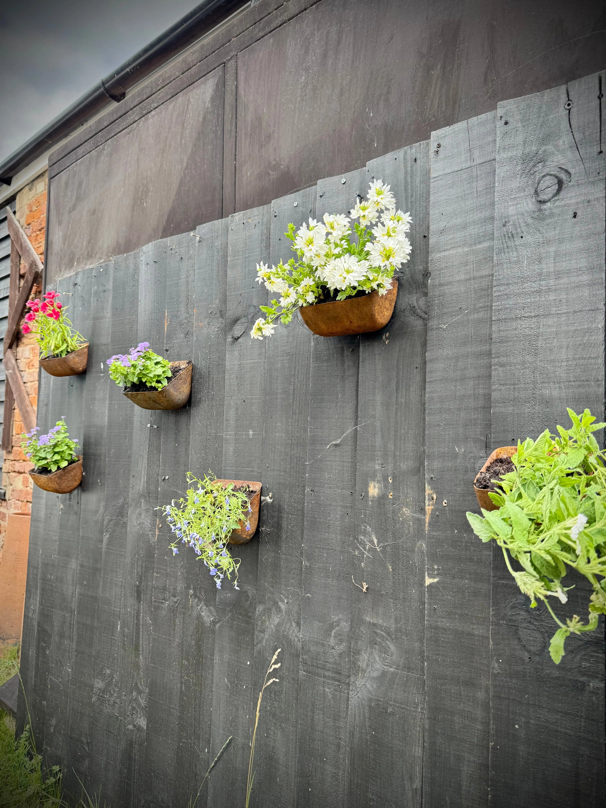 metal tree wall planter with pots Vintage Rusty Metal Wall Mounted Planter / Herb Planter / Plant Pot / – RUSTIC WAREHOUSE NORFOLK