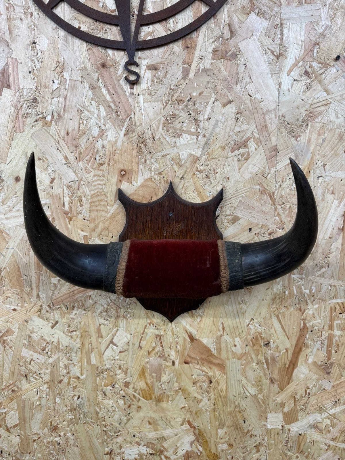 Vintage Buffalo Horns / Mounted Horns / Hat Coat Hooks / Taxidermy Mancave Bar