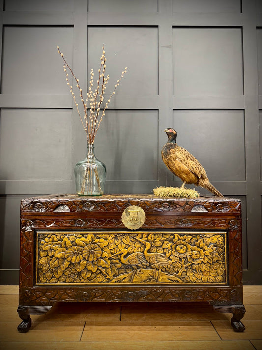 Chinese Camphor Wood Blanket Chest / Vintage Coffee Table / Blanket chest