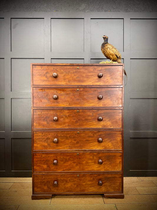 Antique Tall Mahogany Chest Of Drawers / Bedroom Clothes Storage Drawers 19th.C