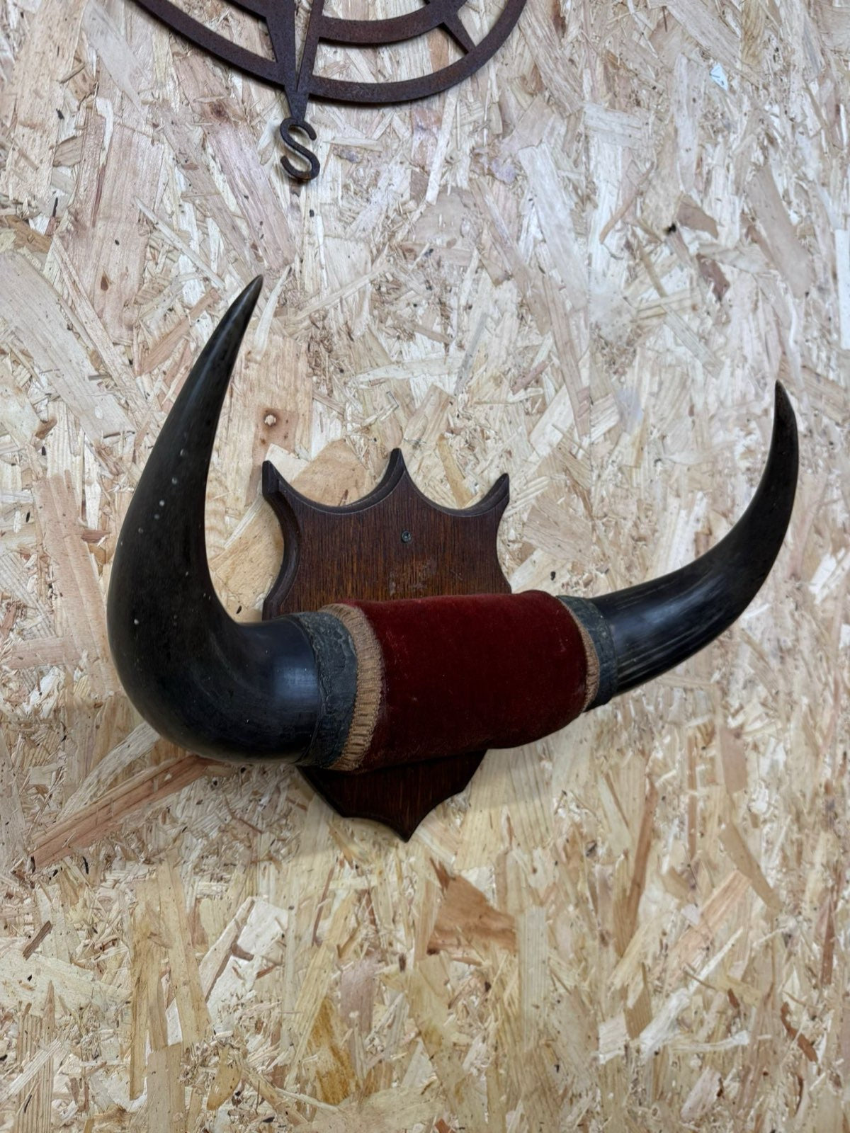 Vintage Buffalo Horns / Mounted Horns / Hat Coat Hooks / Taxidermy Mancave Bar