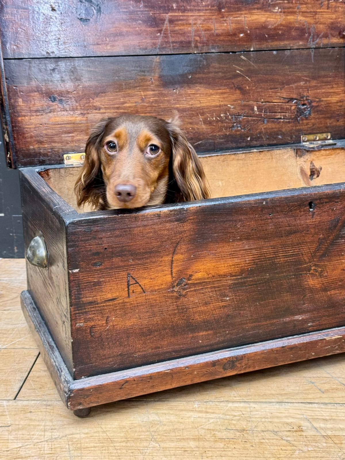 Antique Pine Storage Chest – Rustic Blanket Box / Coffee Table Trunk