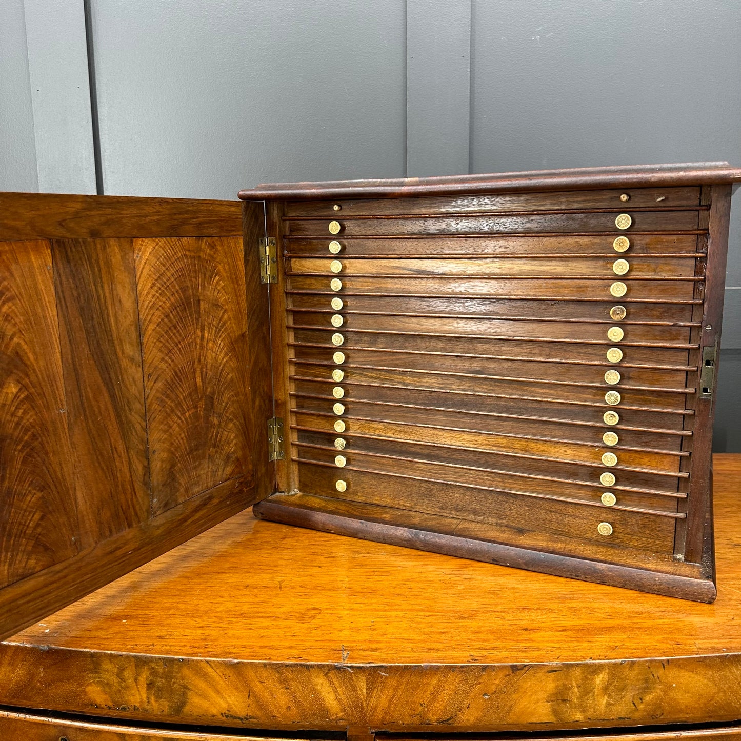 Antique Collectors Drawers - Specimen Cabinet - Lepidopterist - Entomologists