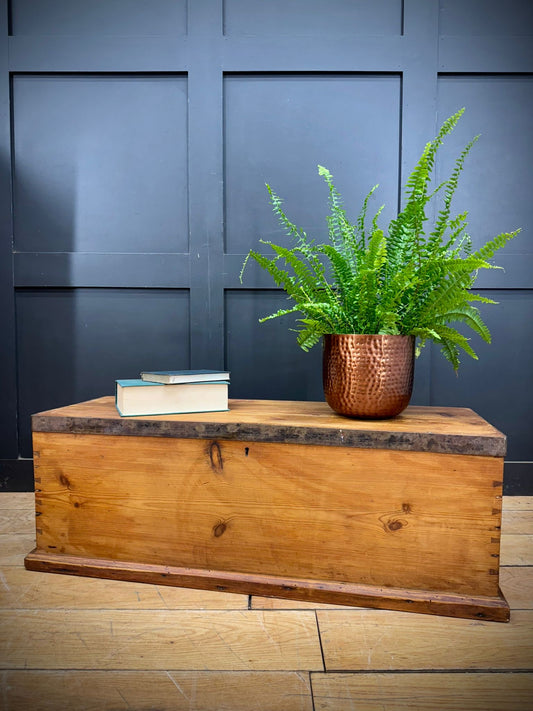Antique Pine Blanket Chest Trunk  Rustic Storage Box / Coffee Table