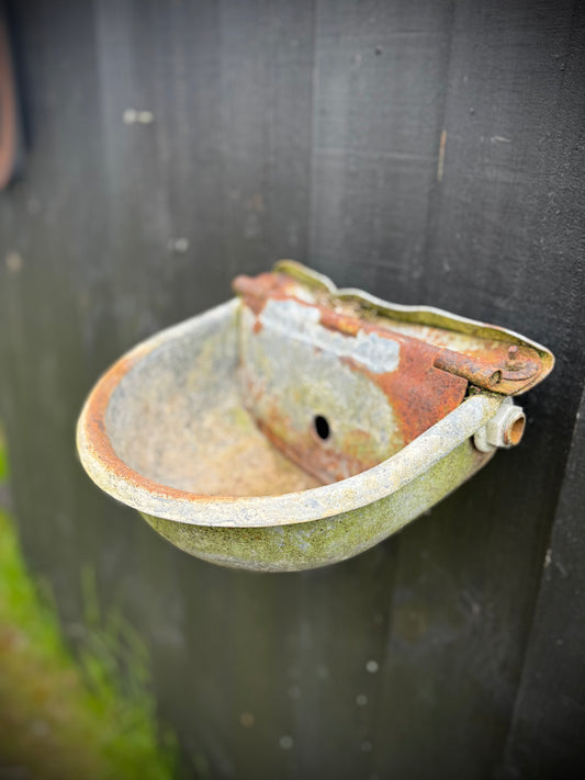 Wall Planters / Cattle Feeder / Hanging Basket / Herb Planter / Plant Pot