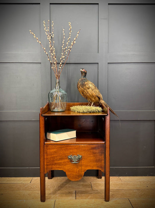 Antique Georgian Mahogany Night Commode Cabinet Bedside Table Lamp Side Cabinet