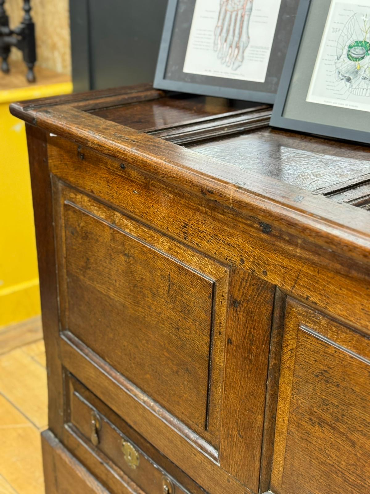 Antique Elm Oak Mule Chest Coffer – Sideboard TV Stand Storage with Drawers