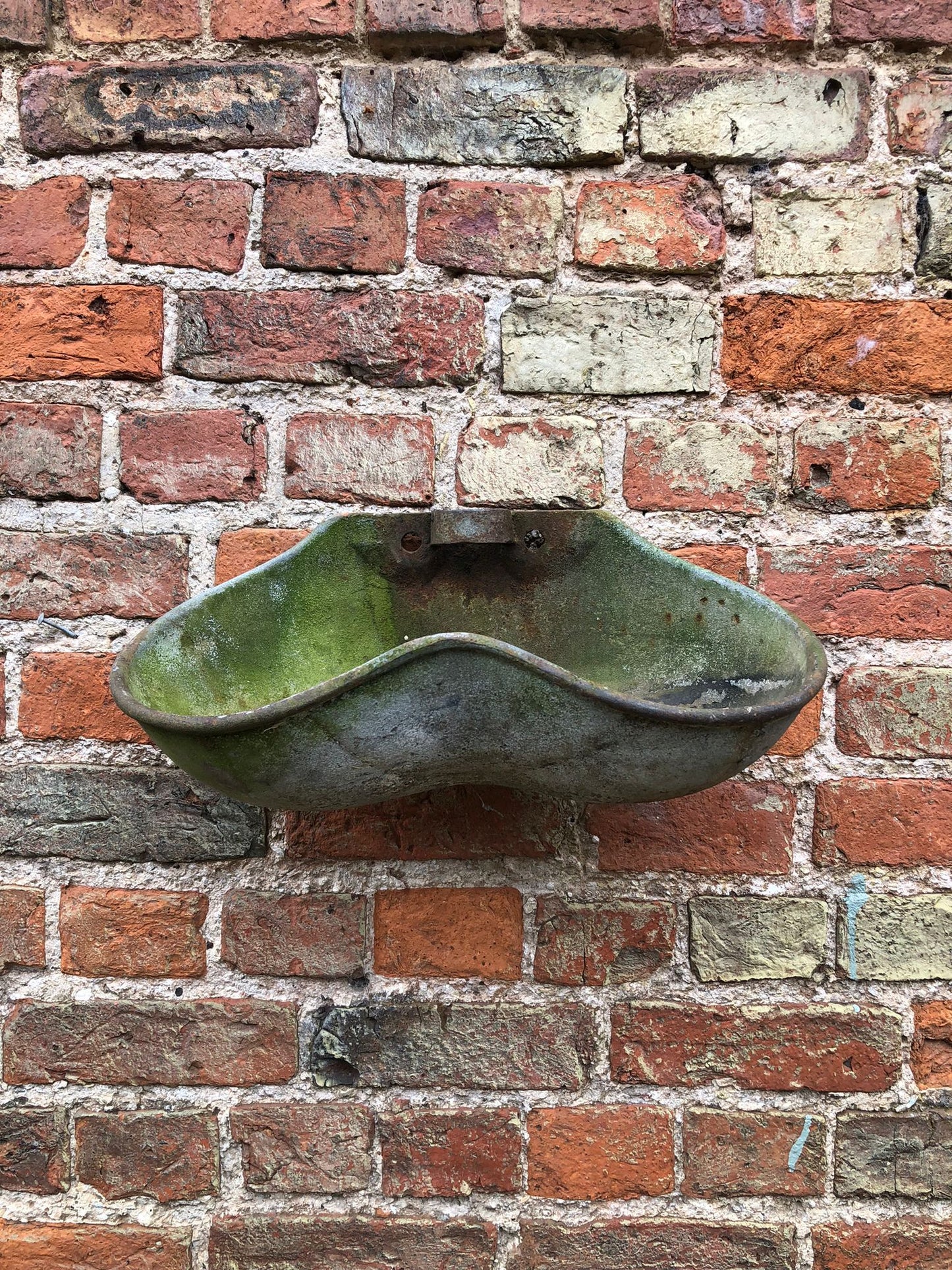 Wall Planters / Cattle Feeder / Hanging Basket / Herb Planter / Plant Pot