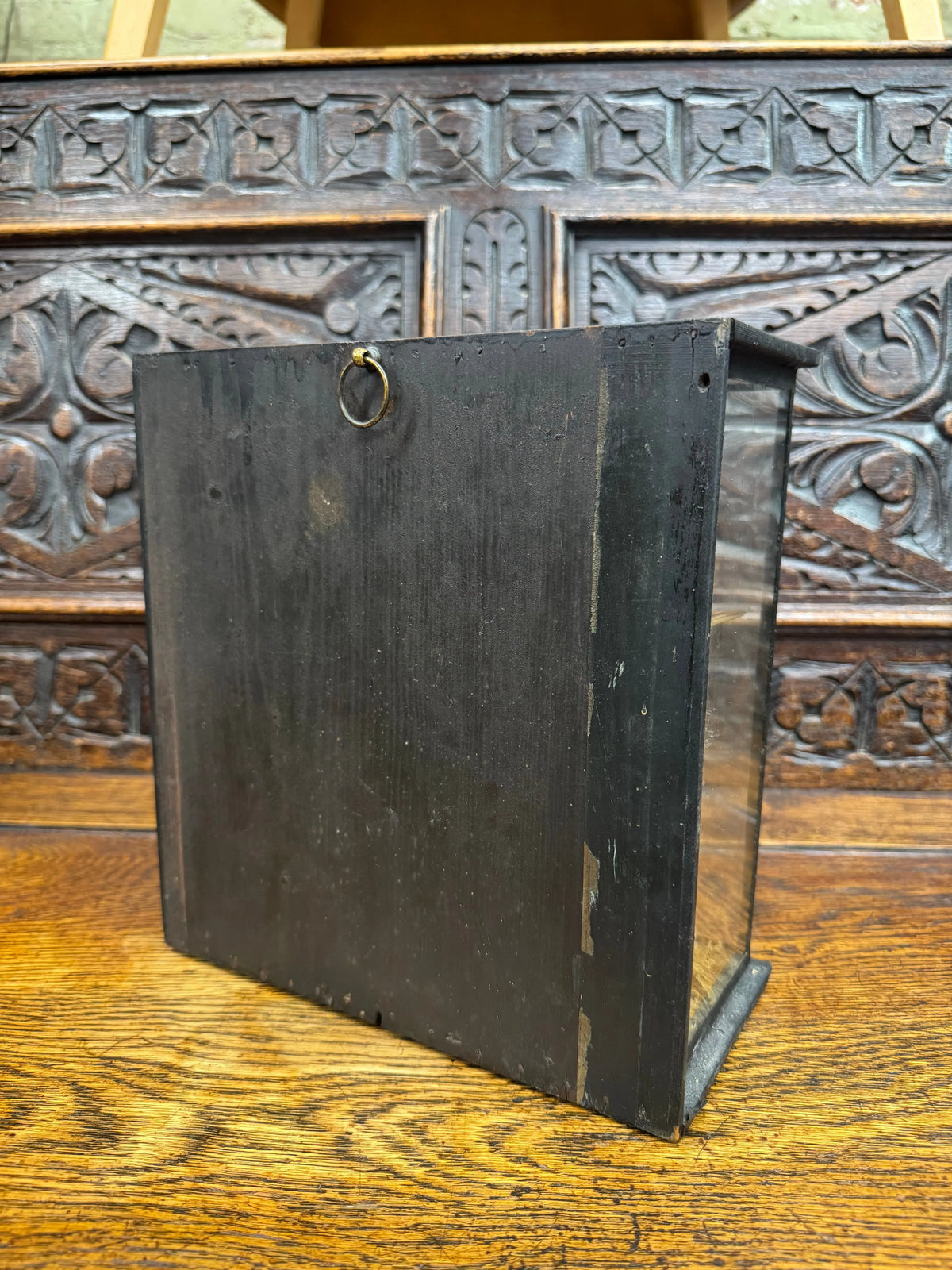 Antique Water Rail Taxidermy Diorama Case