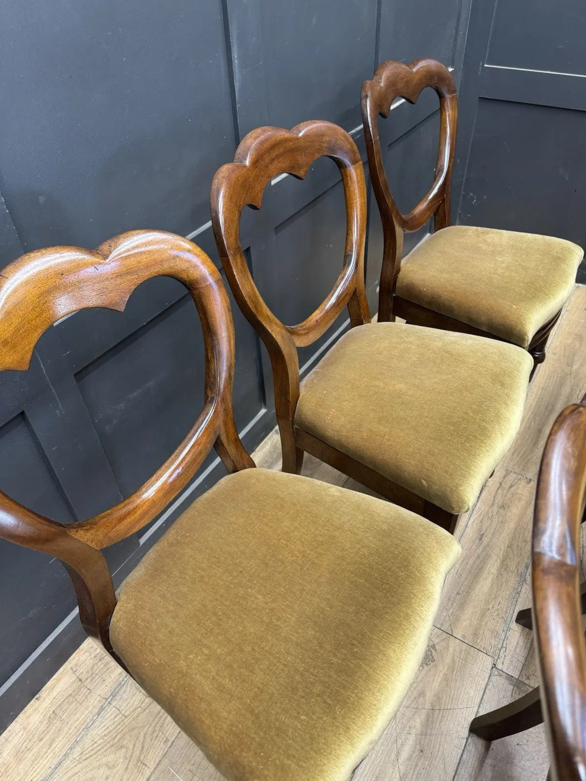 Antique brown Victorian mahogany dining chairs with balloon backs and ochre velvet upholstery.
