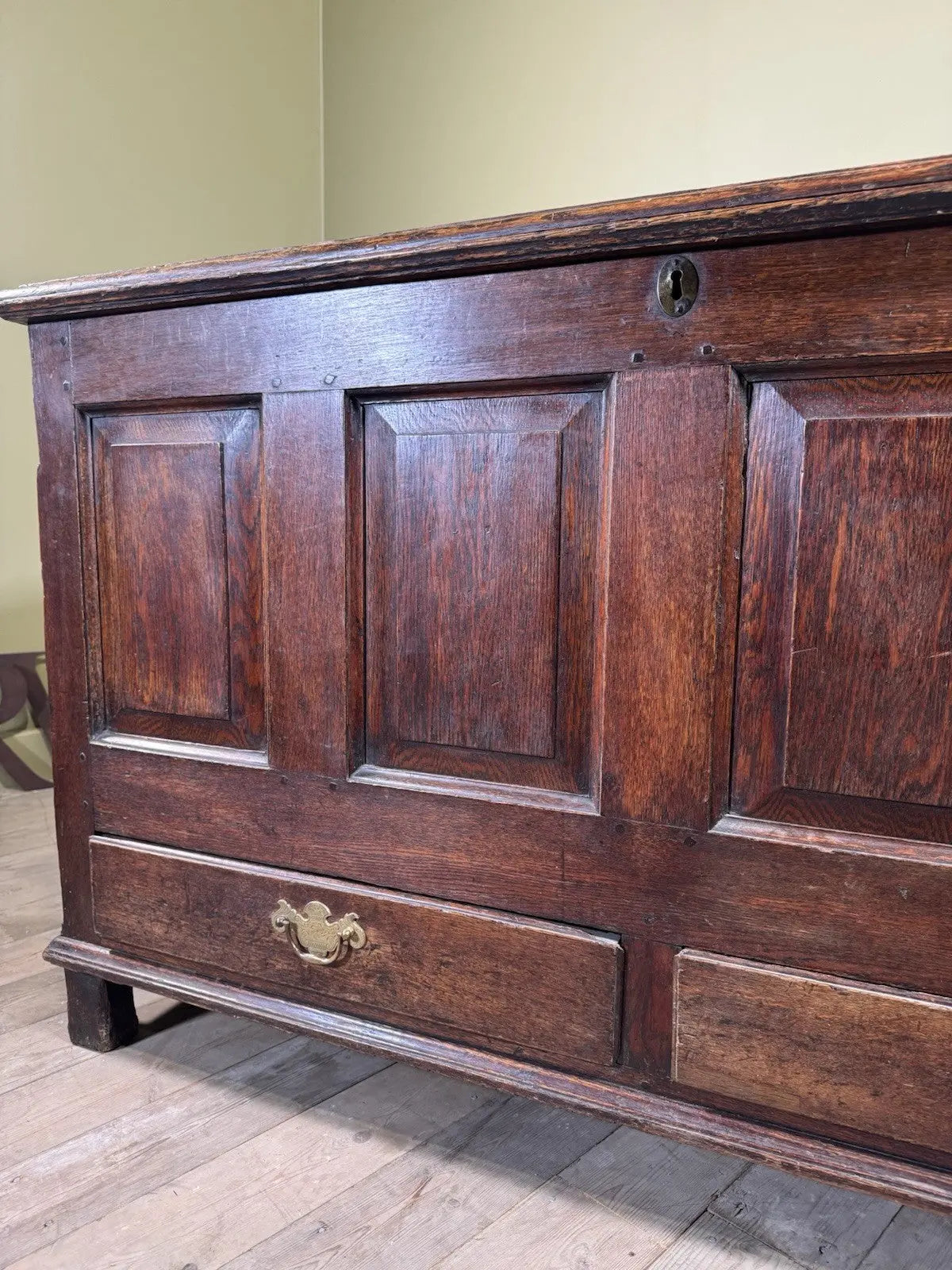 Antique oak mule chest brown four-panelled design with two drawers and rich grain.
