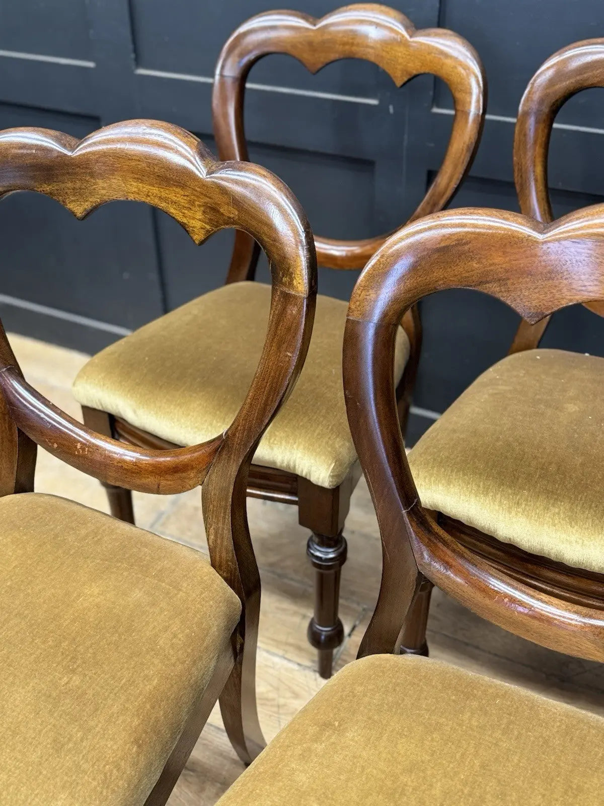 Antique brown Victorian mahogany dining chairs with balloon backs and ochre velvet upholstery.