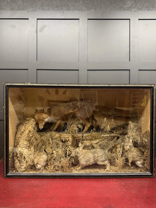 Victorian taxidermy display case featuring red fox and three rabbits in gold and red.