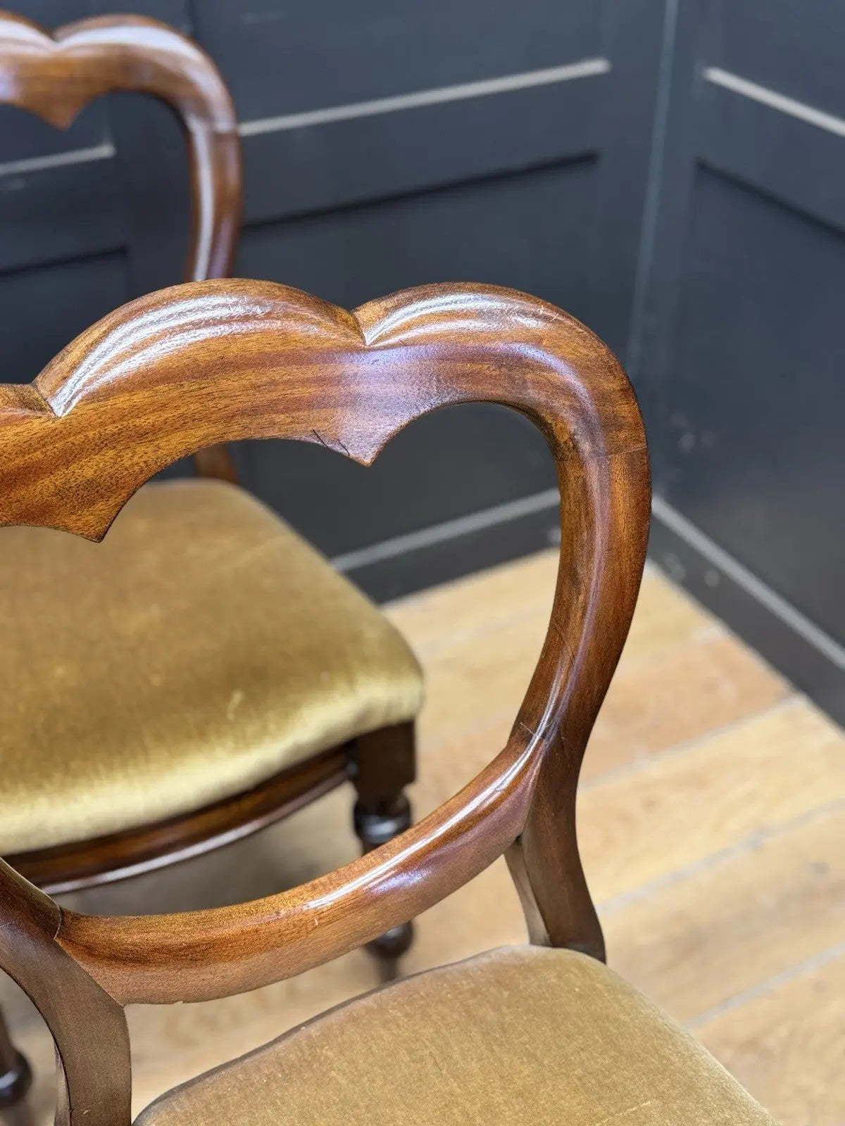 Antique brown Victorian mahogany dining chairs with balloon backs and ochre velvet upholstery.