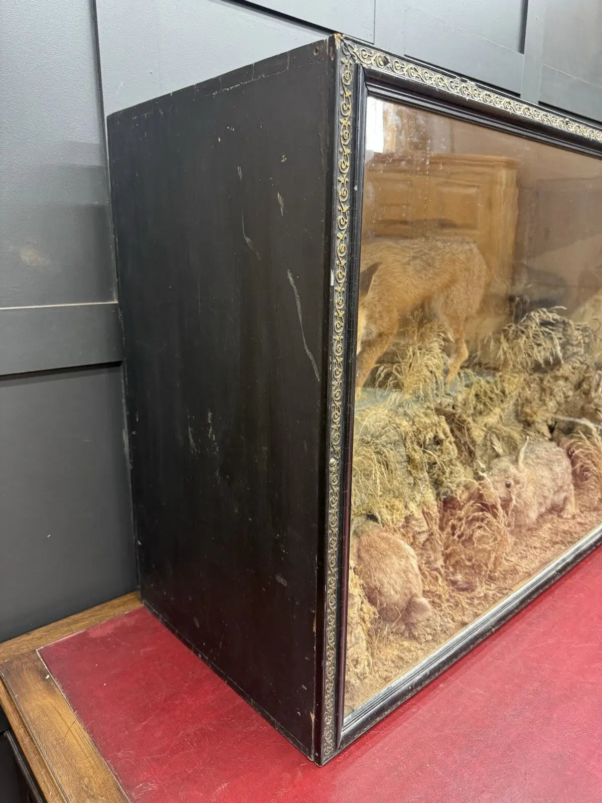 Victorian taxidermy display case featuring red fox and three rabbits in gold and red.