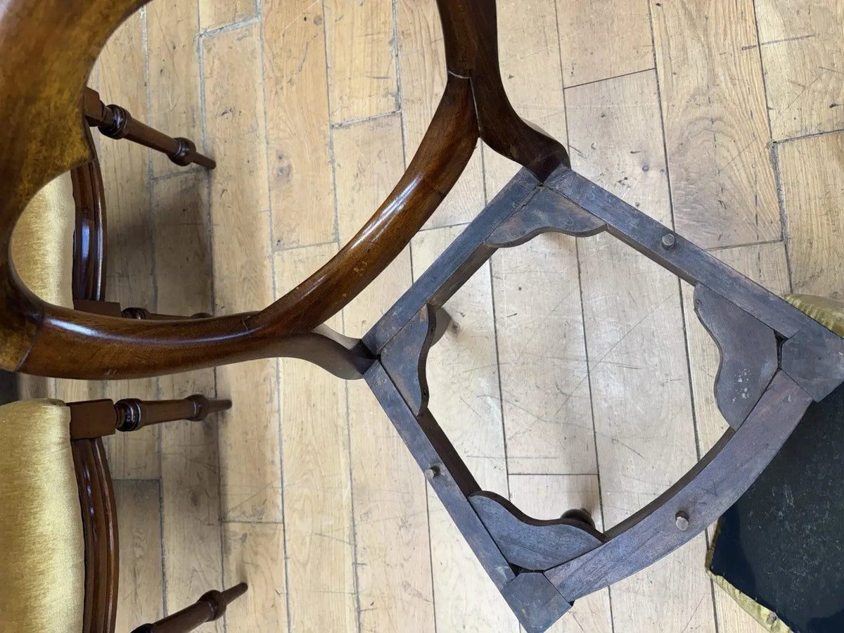 Antique brown Victorian mahogany dining chairs with balloon backs and ochre velvet upholstery.