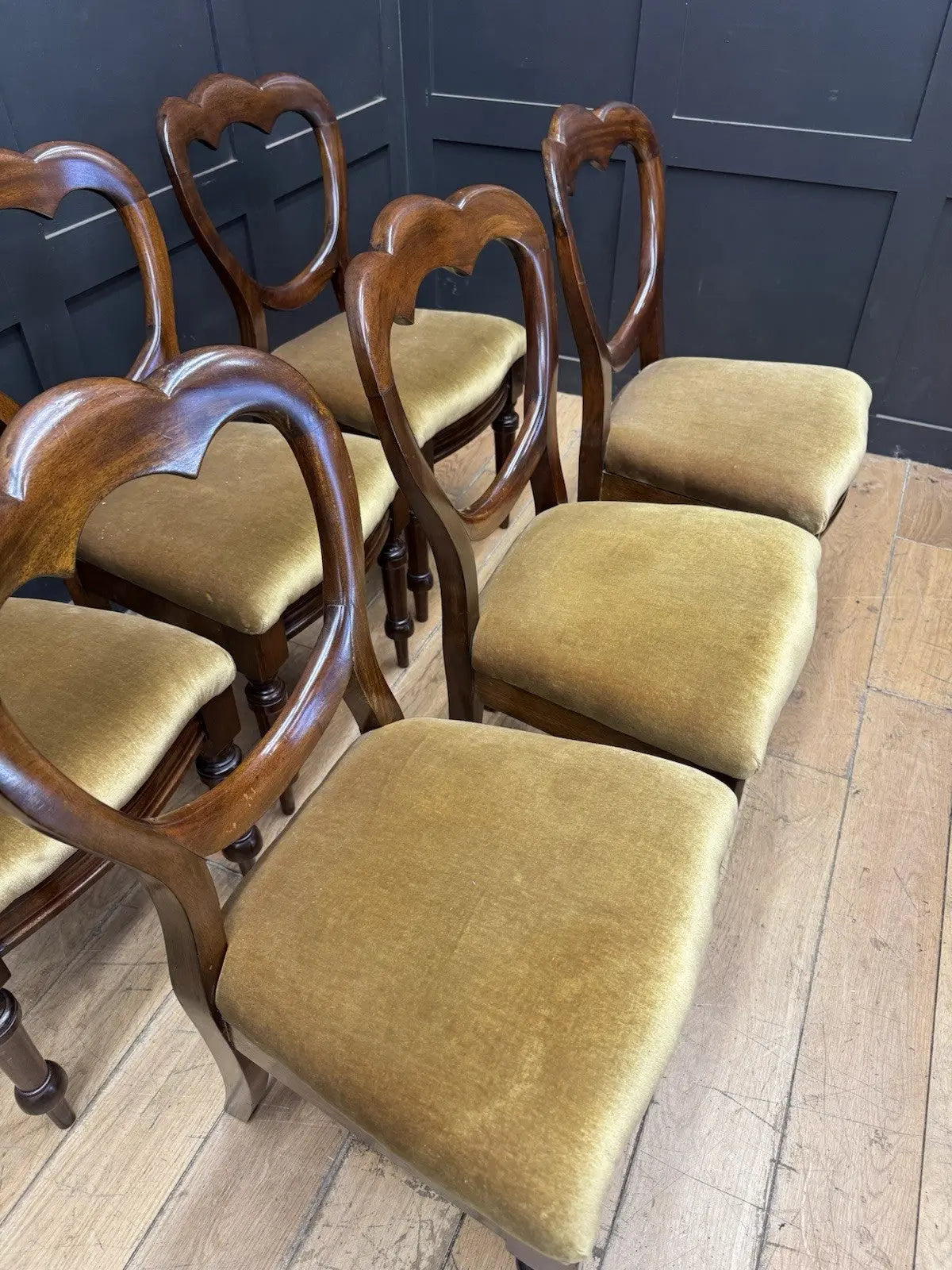 Antique brown Victorian mahogany dining chairs with balloon backs and ochre velvet upholstery.