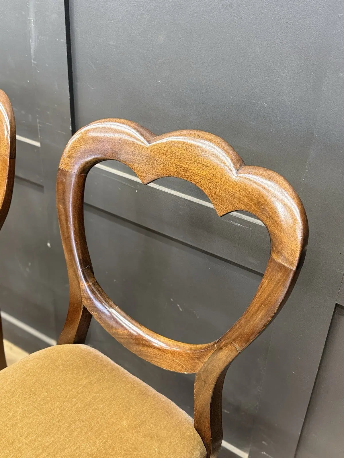 Antique brown Victorian mahogany dining chairs with balloon backs and ochre velvet upholstery.