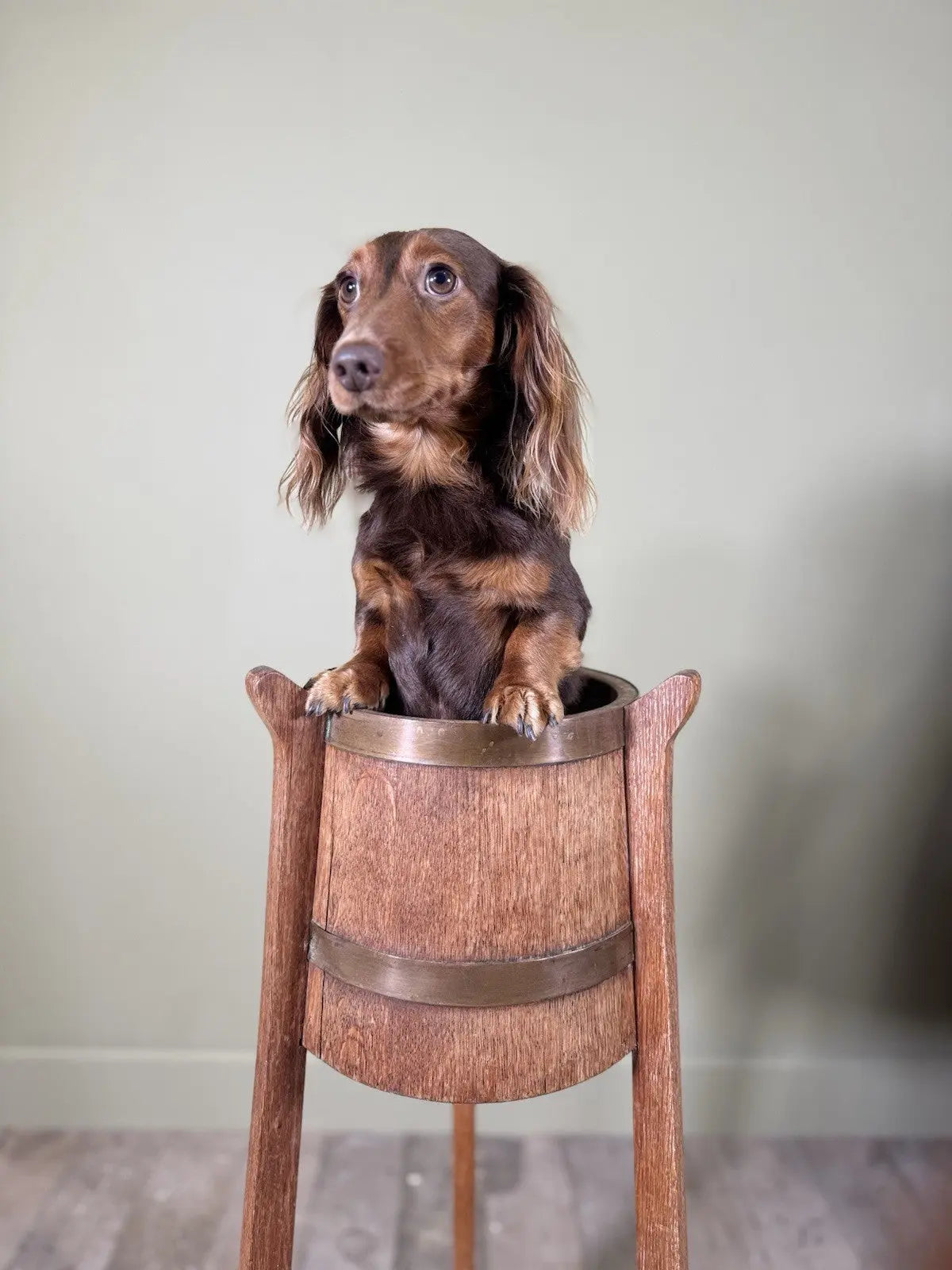 R.A. Lister antique oak jardinière plant stand coopered barrel with copper banding and splayed legs.