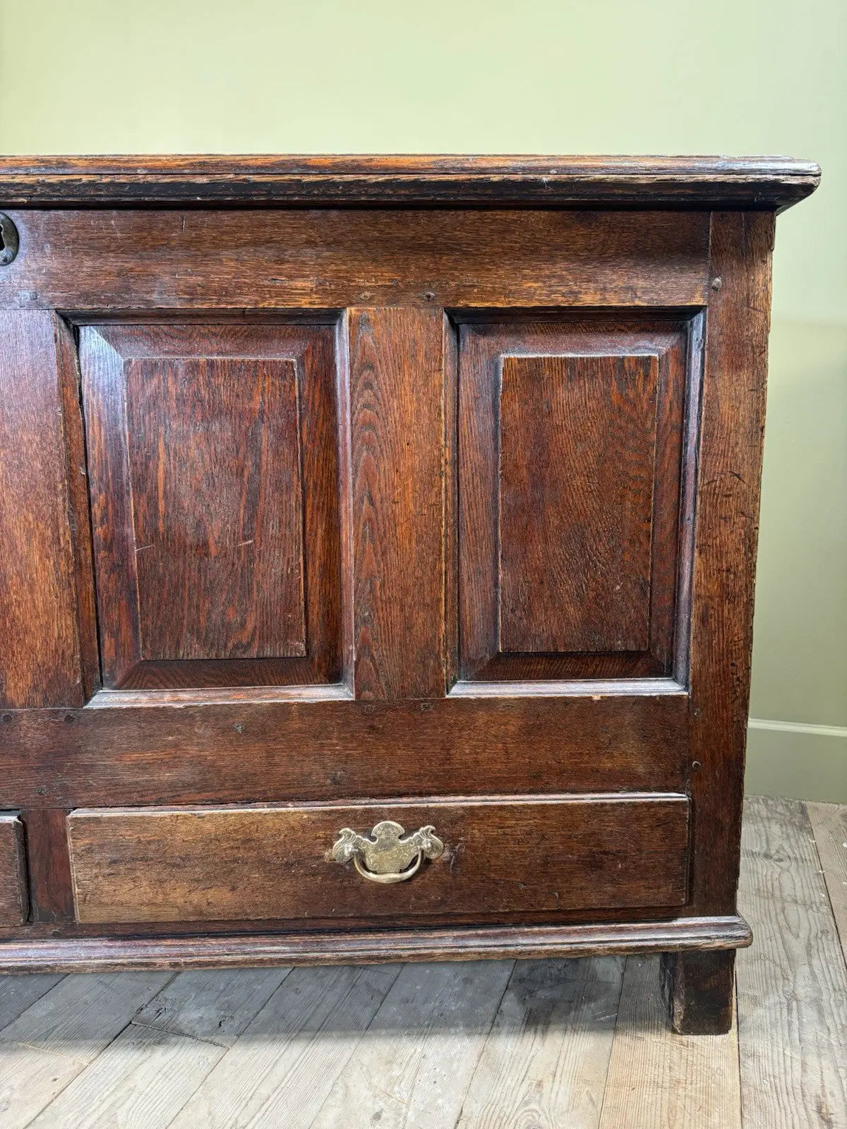 Antique oak mule chest brown four-panelled design with two drawers and rich grain.
