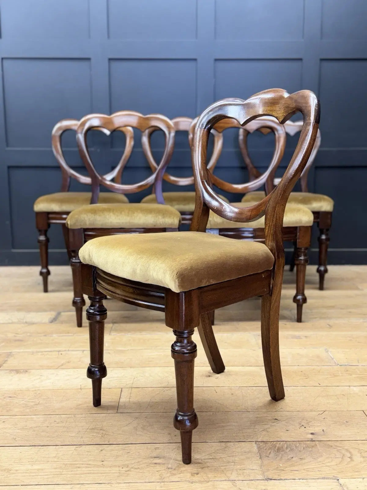 Antique brown Victorian mahogany dining chairs with balloon backs and ochre velvet upholstery.