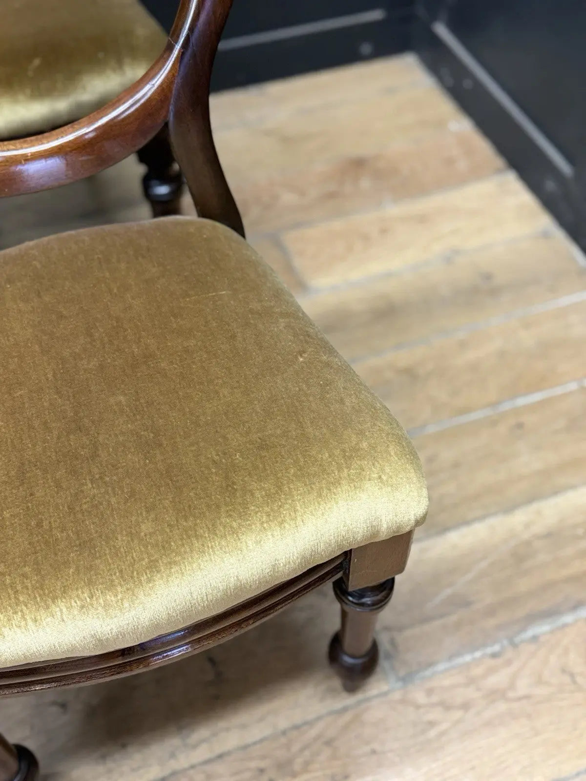 Antique brown Victorian mahogany dining chairs with balloon backs and ochre velvet upholstery.