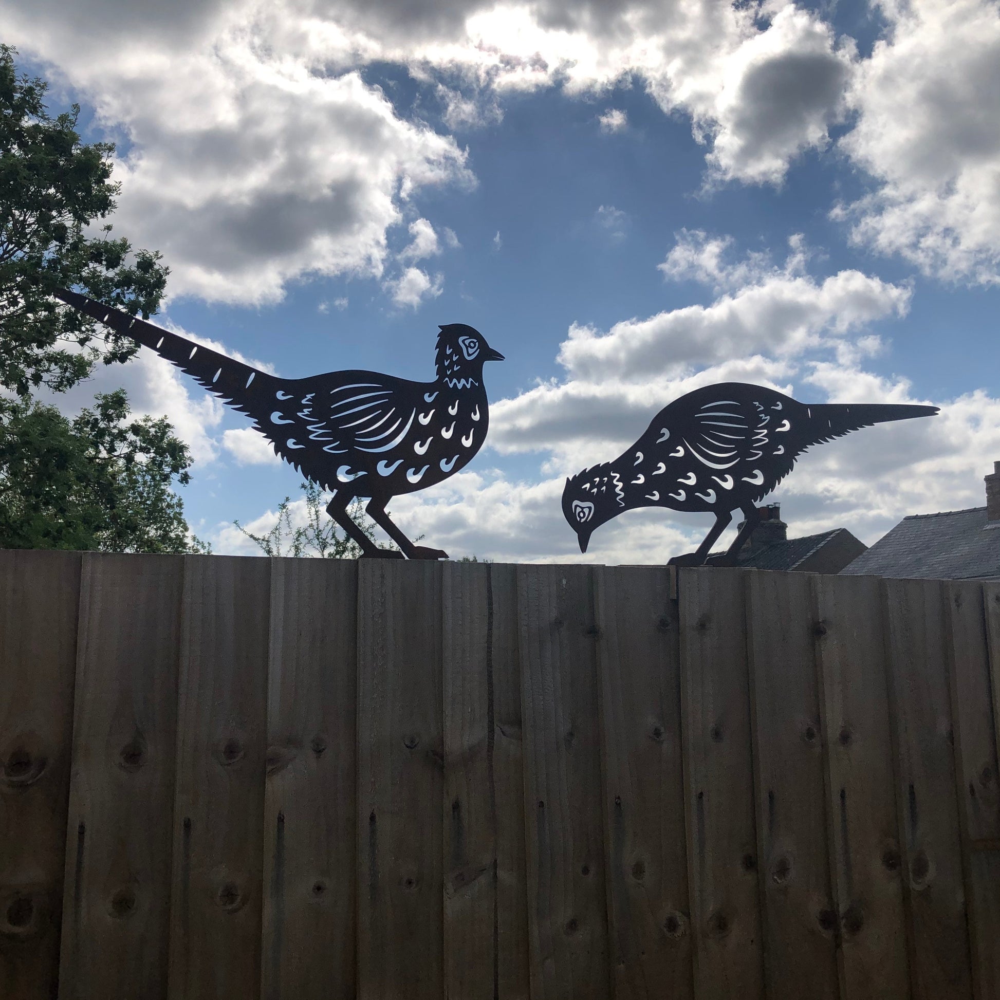 pair of rusty metal pheasants garden decorations